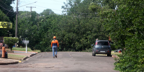 Quase 24 horas depois do temporal, moradores ainda esperam por remo&ccedil;&atilde;o de &aacute;rvores