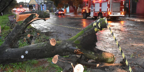 Bombeiros de MS est&atilde;o entre os mais requisitados do Pa&iacute;s