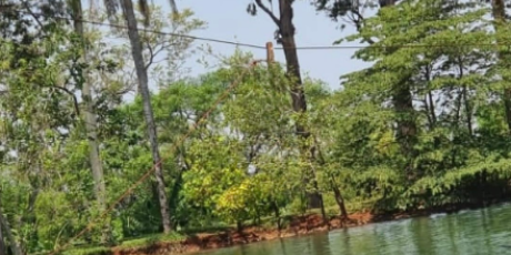 Acidente com tirolesa em casamento termina com dois mortos em Bonito