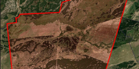 Pol&iacute;cia Federal investiga pecuarista que desmatou 1100 hectares do Pantanal