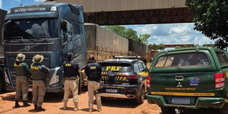 Ibama intercepta carga irregular de madeira na BR-163 em MS