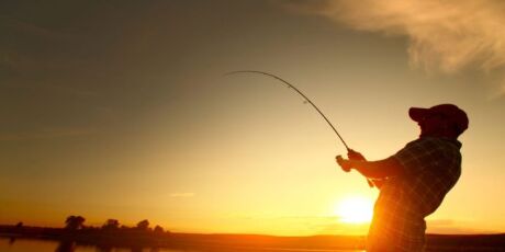 Ap&oacute;s ser declarada uma esp&eacute;cie invasora, Ibama autoriza o abate sem limites do Pirarucu 