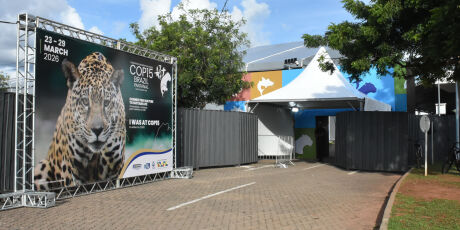 Campo Grande entra no mapa global dos eventos com a COP15
