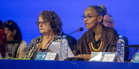 Apenas 76 pa&iacute;ses enviaram delega&ccedil;&otilde;es &agrave; COP15 em Campo Grande 