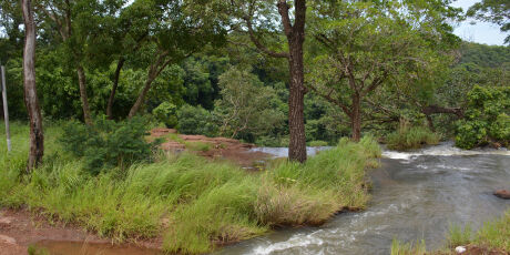 Corpo de mulher com tiro na cabe&ccedil;a &eacute; desovado no Inferninho