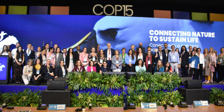COP15 arrecada R$ 36,6 milh&otilde;es e Estado pleiteia fatia para investir no Pantanal