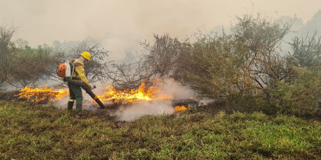 Com investimentos de R$ 24 milh&otilde;es, MS se prepara para inc&ecirc;ndios no Pantanal
