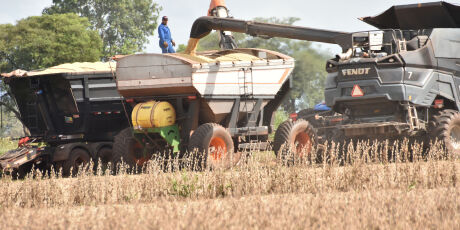 Queda na produ&ccedil;&atilde;o de gr&atilde;os puxa o PIB de MS para baixo