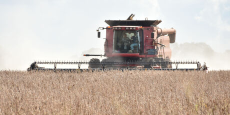 MS tem cinco cidades entre as maiores produtoras de soja do Brasil