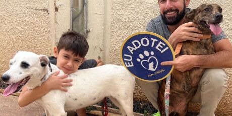 Feira de ado&ccedil;&atilde;o tem c&atilde;es adultos &agrave; espera de um lar neste domingo (8)