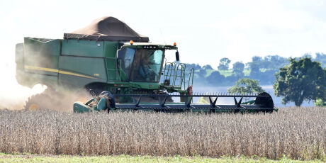 Mato Grosso do Sul registra a maior safra de soja da hist&oacute;ria