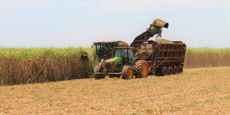 Safra de cana-de-a&ccedil;&uacute;car pode gerar maior produ&ccedil;&atilde;o de etanol da hist&oacute;ria de MS