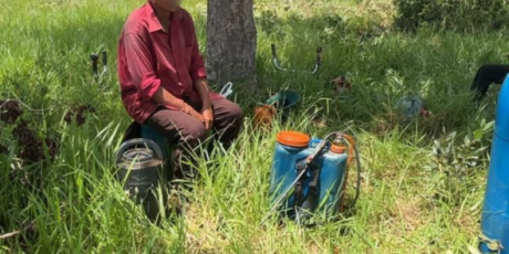 MPT resgata 12 trabalhadores no Pantanal e garante indeniza&ccedil;&atilde;o de R$ 1,9 milh&atilde;o