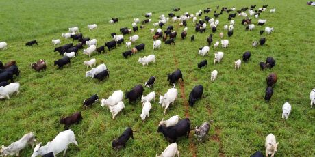 PIB do agro em MS teve o melhor desempenho do pa&iacute;s em 2025