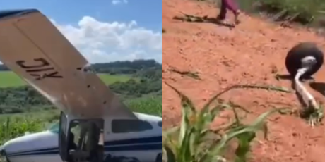 Avi&atilde;o faz pouso for&ccedil;ado em planta&ccedil;&atilde;o de milho em MS