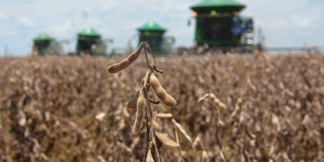 Previs&atilde;o de trimestre quente e seco pode impactar produ&ccedil;&atilde;o agr&iacute;cola no Estado