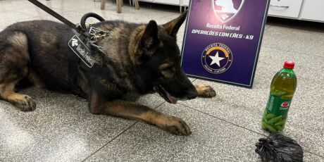 Excurs&otilde;es clandestinas entram com drogas engolidas por pessoas e mercadorias no Brasil