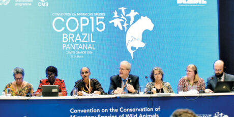 Rio da Prata vira prioridade para preservar peixes de &aacute;gua doce