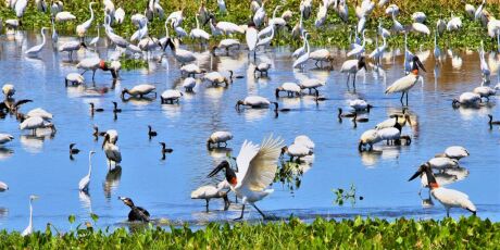 Decat ficar&aacute; aberta 24h para atender turistas durante COP15