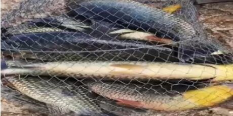 Homem que postava v&iacute;deos de pesca no TikTok vira alvo de inqu&eacute;rito