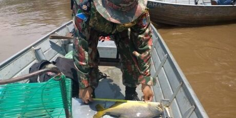 Piracema termina e pesca est&aacute; liberada em rios de Mato Grosso do Sul