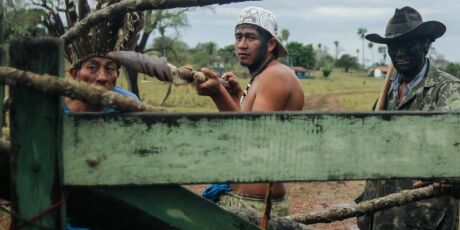 Justi&ccedil;a Federal rev&ecirc; decis&atilde;o e nega a&ccedil;&atilde;o que tenta tirar povo de terra ind&iacute;gena em MS