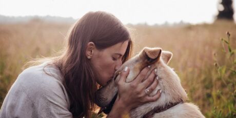 Quando o pet vira alvo: um sinal silencioso de viol&ecirc;ncia contra a mulher
