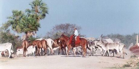 Prefeitura de Corumb&aacute; avalia cria&ccedil;&atilde;o de grupo para consultar imposto territorial rural
