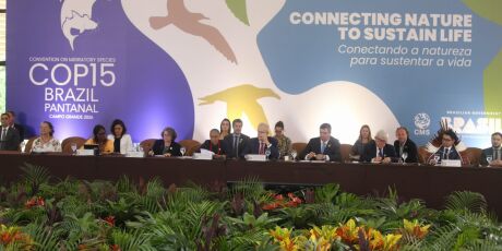 Sem Lula, sess&atilde;o especial da COP15 come&ccedil;a com Riedel e Marina no comando