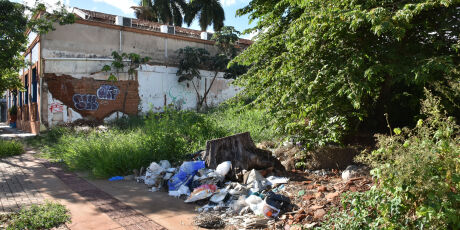 Em menos de 48h, aplicativo recebe mais de 230 den&uacute;ncias sobre terrenos baldios