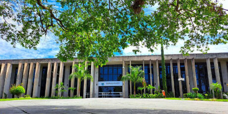 Assembleia reconhece calamidade p&uacute;blica em Dourados ap&oacute;s 6,4 mil casos de Chikungunya
