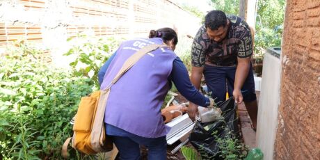 Ap&oacute;s 8 mortes, prefeitura de Dourados espera vacinar 43 mil contra chikungunya 