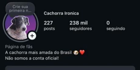 Instagram exclui perfil com 312 mil seguidores e deixa morador de MS sem renda