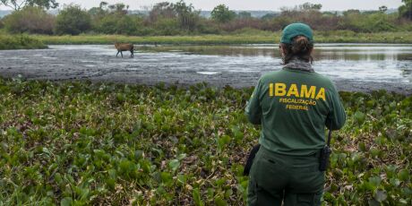 Fiscaliza&ccedil;&otilde;es contra inc&ecirc;ndios no Pantanal s&atilde;o intensificadas em MS