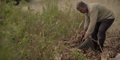 Governo Lula destina mais de R$ 1 milh&atilde;o para enfrentamento da Chikungunya em Dourados