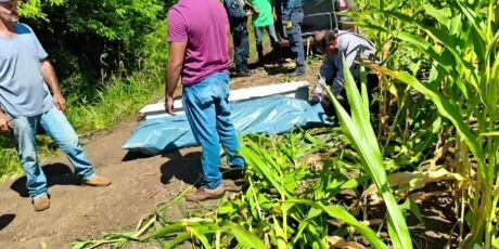 Um ano ap&oacute;s on&ccedil;a devorar Jorginho, homem morre atacado por javali em MS