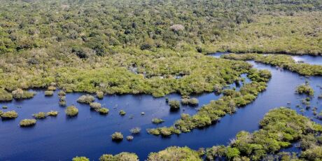 MS 'estica' prazo para produtores receberem por preservar &aacute;rea nativa no Pantanal