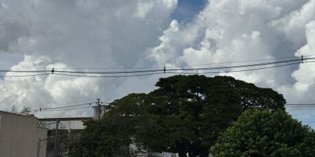 Temperatura despenca e MS pode ter o dia mais frio do m&ecirc;s
