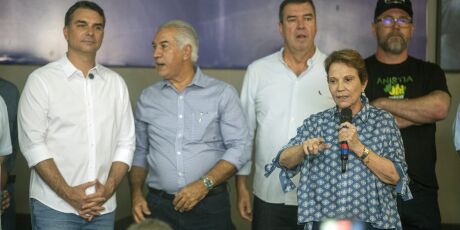 Tereza Cristina descarta ser vice e diz que vai buscar a presid&ecirc;ncia do Senado