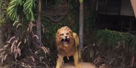 Hamburgueria promete 1 ano de hamb&uacute;rguer gr&aacute;tis para quem encontrar le&atilde;o roubado