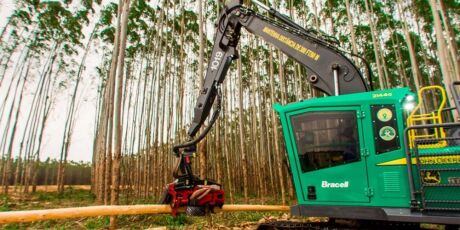 Gigante da celulose toma empr&eacute;stimo bilion&aacute;rio para reflorestamento em MS