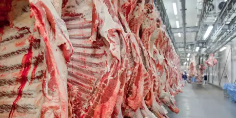 Pecuaristas de MS reagem &agrave; decis&atilde;o da UE contra carne brasileira
