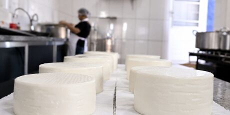 Ap&oacute;s adiamento, tradicional Festa do Queijo come&ccedil;a nesta sexta-feira