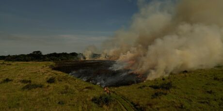 Bombeiros de MS usam manejo integrado do fogo para evitar grandes inc&ecirc;ndios