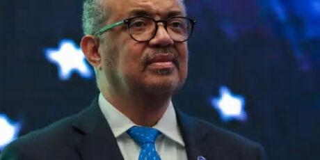 Chefe da OMS supervisionar&aacute; evacua&ccedil;&atilde;o de passageiros e tripula&ccedil;&atilde;o do cruzeiro com hantav&iacute;rus