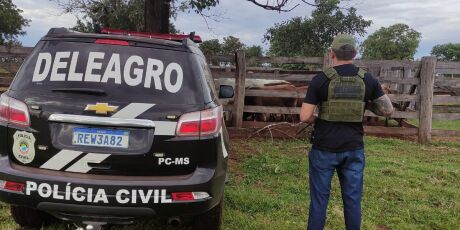 Pol&iacute;cia recupera R$ 301 mil em gado roubado e prende dois receptores