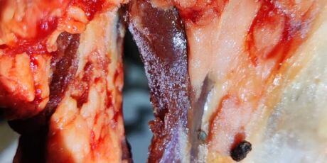 Pol&iacute;cia Civil de MS apreende 600 kg de carne clandestina em a&ccedil;ougue