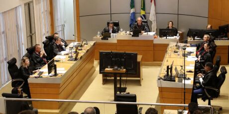 Justi&ccedil;a manda moradora diminuir quantidade de c&atilde;es em resid&ecirc;ncia de 100 para 5