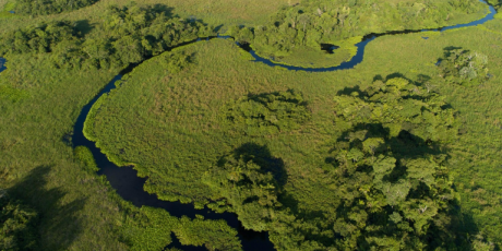 Produtores se op&otilde;em &agrave; cria&ccedil;&atilde;o de ref&uacute;gio ambiental em MS