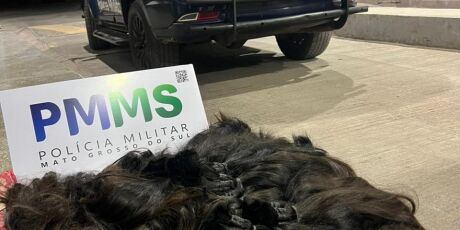 Pol&iacute;cia apreende cabelo humano ilegal avaliado em R$ 115 mil em MS